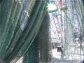 Guy Fanguy - Artist - Photographer - Guy Fanguy - Scenic - Shrimp Boats - Louisiana (14).jpg Size: 101186 - 6